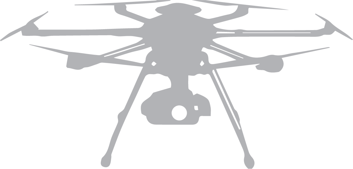 Servicios con drone